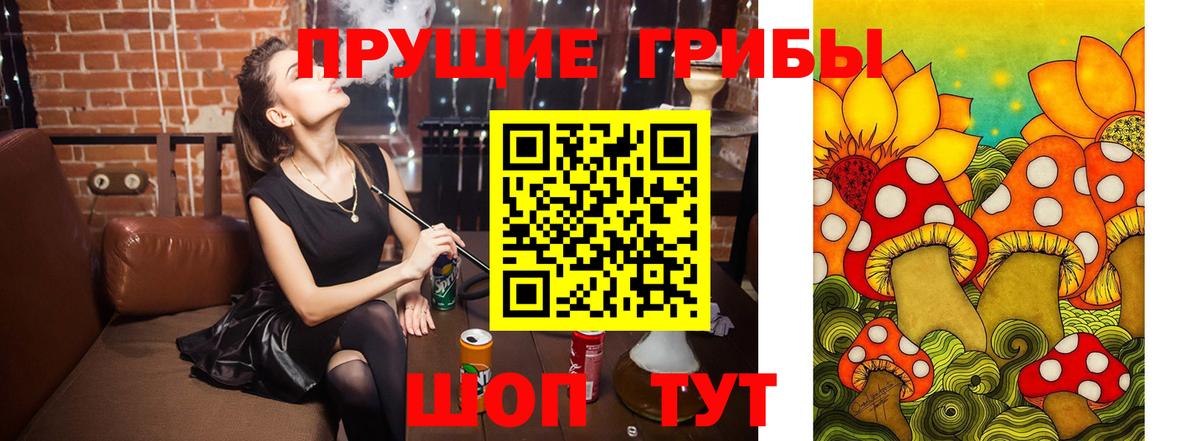 Невинномысск  Псилоцибиновые грибы GOLDEN TEACHER  Псилоцибиновые грибы Cubensis  Вход с VPN 